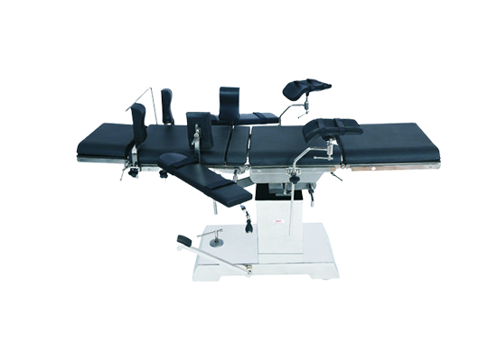 Calathea Warscewiczii